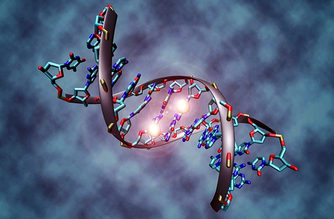 dna_methylation